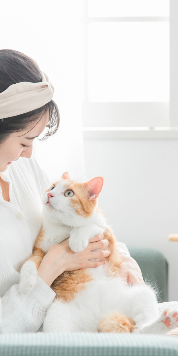 ねことの暮らし